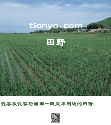 tianye.com